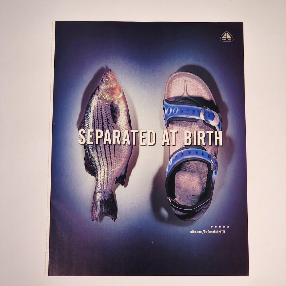 Vintage Nike AirDeschutz VIII Print Ad 2000 Poster Decor Y2K Sneaker Advertising